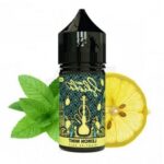 NASTY SALT- LEMON MİNT (30ML) SALT LİKİT